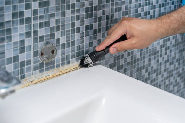 Best Attic Mold Removal  in North Belle Vernon, PA